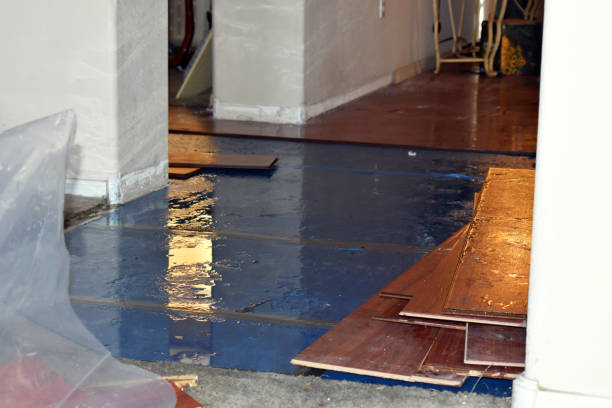 Professional Basement Water Removal technician working in Richland, MO
